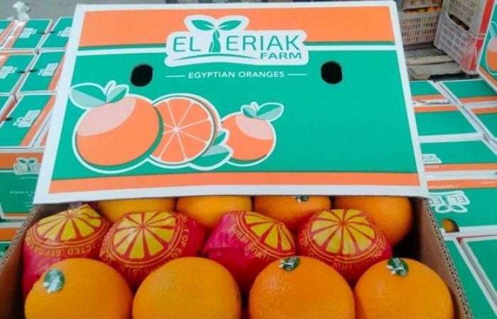 Reduction of export subsidies for Egyptian citrus fruits