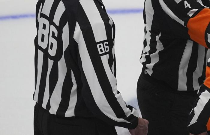 Report | Referees handing out more penalties for discrimination, says Hockey Canada