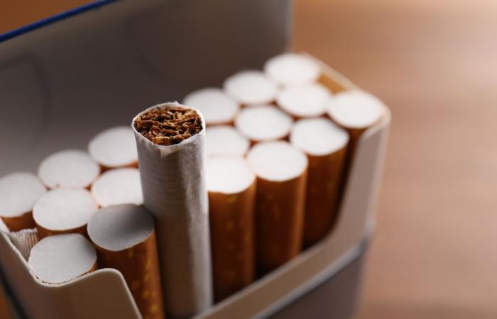 Possible contraband cigarettes intercepted in Saint-Louis-de-Blandford