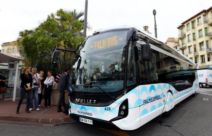 The price of the Palm Bus ticket increases by 10 cents in the Cannes metropolitan area, the tone shows between David Lisnard and an opposition elected official