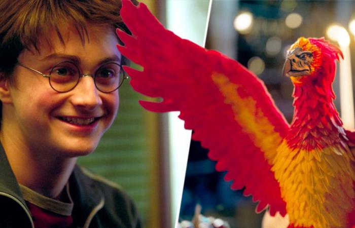 Harry Potter fans delighted by new series you might have missed – Harry Potter