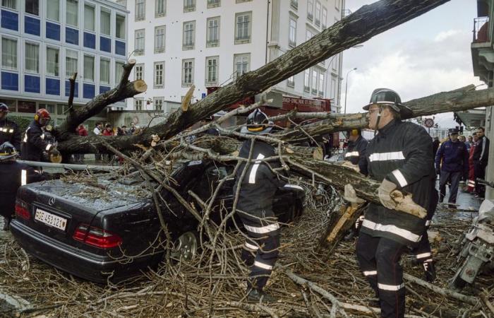 25 years ago, storm Lothar ravaged Swiss forests