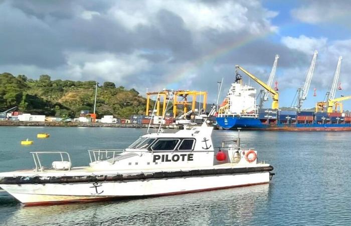 Mayotte: the port of Longoni, strategic infrastructure for relief and then reconstruction