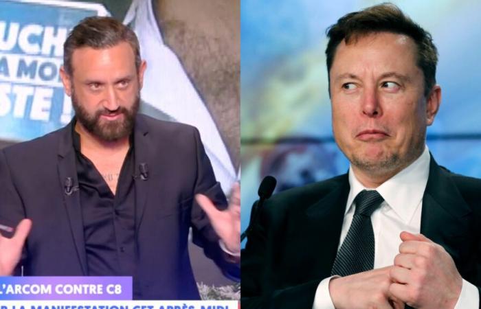 C8 saved by Elon Musk? Cyril Hanouna claims to be in contact with the billionaire: “I hope to meet him” (VIDEO)