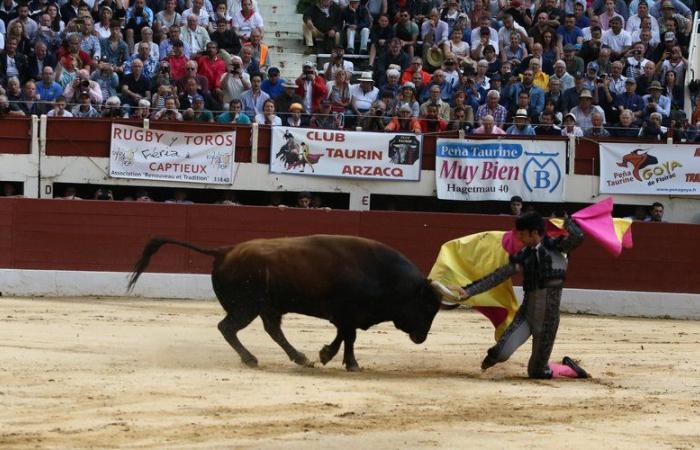 Feria de Vic: Morenito de Aranda, the hero of the Gers arenas, alone against six bulls in 2025