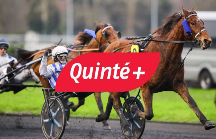 PMU Quinté prediction for Wednesday December 18 at Paris-Vincennes: odds, free predictions