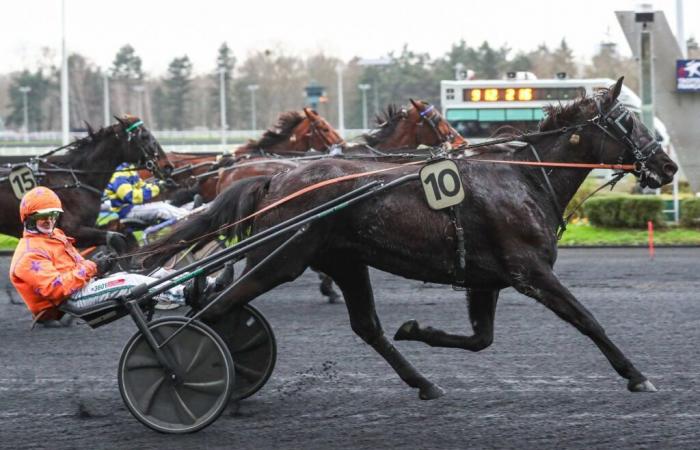 Haitian Fight Song wins the day’s quinté in Vincennes