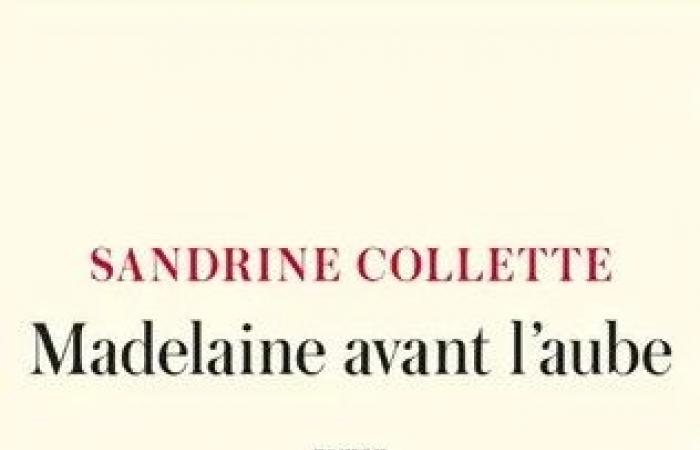 The 2024 Goncourt prize for prisoners awarded to Sandrine Collette for her novel “Madelaine avant l’aube”