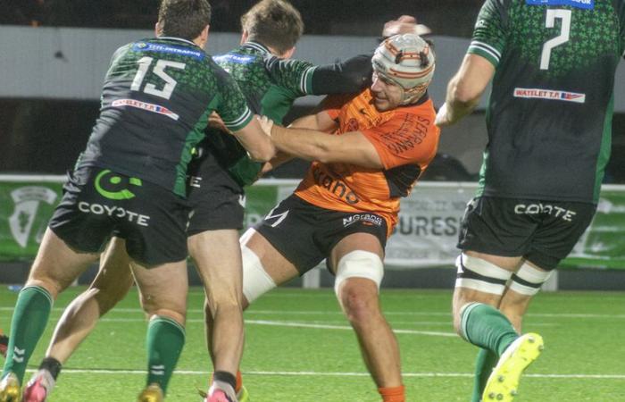 Rugby – National: a third line from Narbonne absent for two or three months, several players returning to resume in January 2025