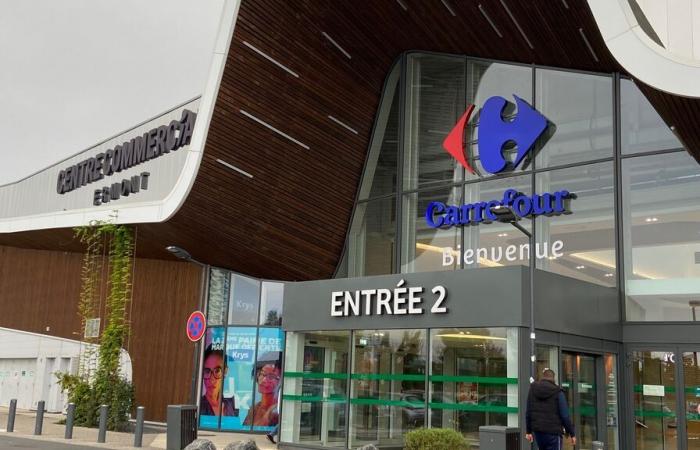 Carrefour launches a generative artificial intelligence platform for its employees