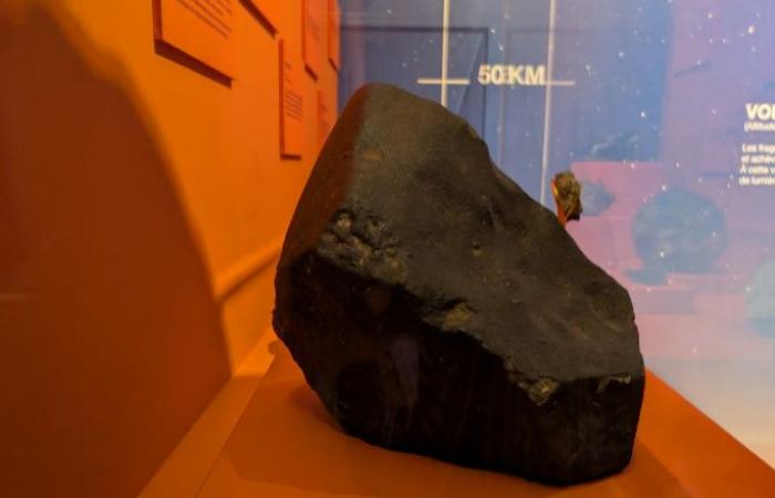 A 105 kilo meteorite on display at the Angers natural sciences museum