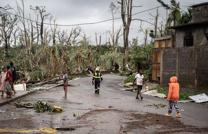 “It’s a real painstaking job”: how emergency services search for victims in the ruins of Mayotte