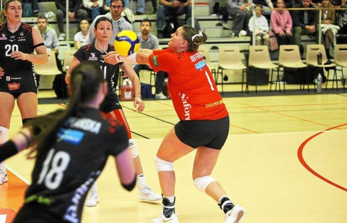 LAF: the performance of Quimper Volley in Mulhouse will depend on the quality of the reception