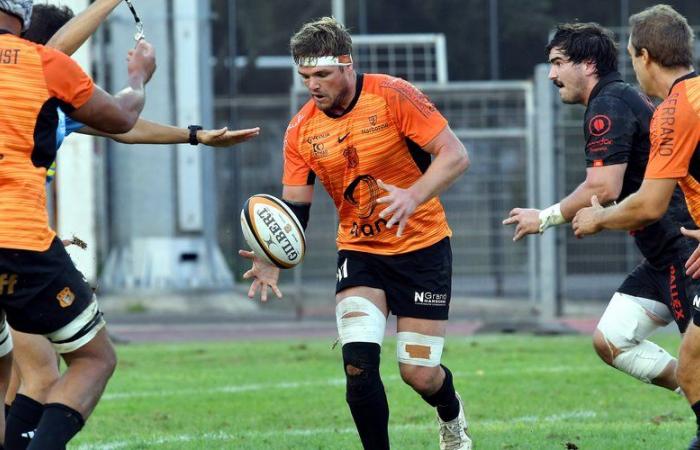 Rugby – National: in the second part of the season, Narbonne has the cards in hand to finish in the Top 2