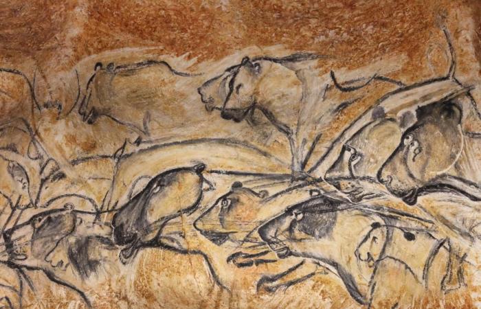 Rare privilege, in the year 2000 “Télérama” ventured into the real Chauvet cave