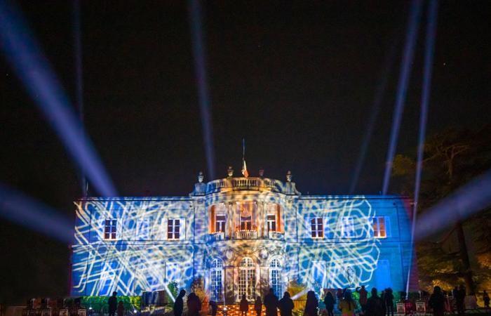 A mini-festival of lights like in Lyon lights up Talence for Christmas