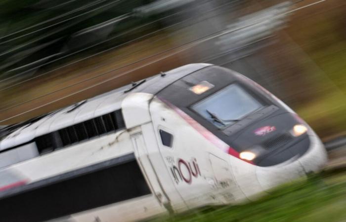 Fewer but full TGVs like never before: SNCF returns to its pre-Covid revenues – 12/18/2024 at 2:46 p.m.