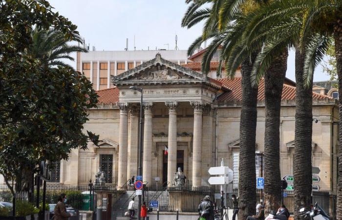 Perpignan court: he defecates in the arrest room before exposing himself to a police officer