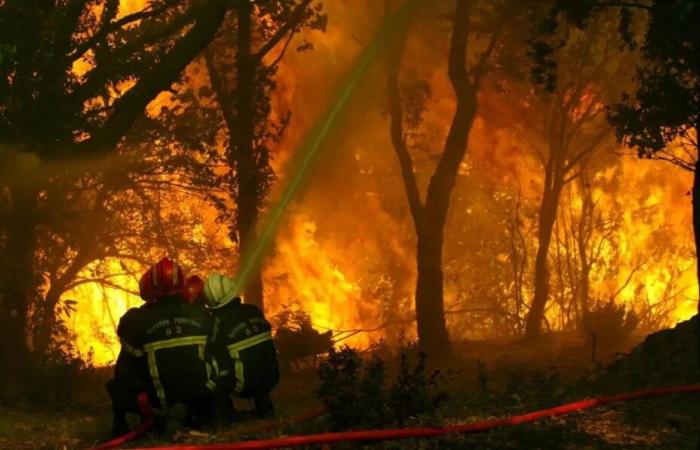 The Draguignan public prosecutor’s office requests new investigations into the fatal fire in the Maures massif in 2021