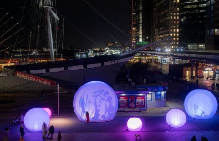 MoonGARDEN, the new artistic installation at Pier 17