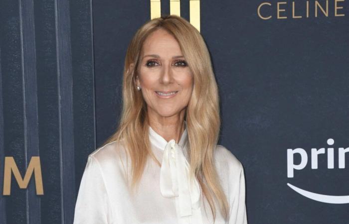 Celine Dion reappears: for Christmas, her unusual outfit