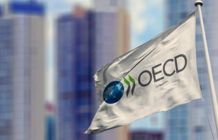 The OECD’s optimistic macroeconomic forecasts for Morocco