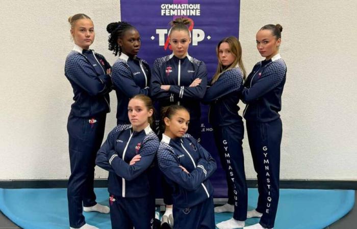 Top 12: the gymnasts from Meaux succeed in their entry