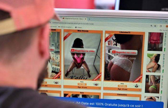 “300 to 400 online ads in Toulouse alone”: Prostitution, fewer girls on the sidewalks but more and more on the Internet