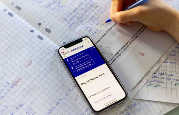 Parcoursup opens its doors this Wednesday, with some new features: everything that changes