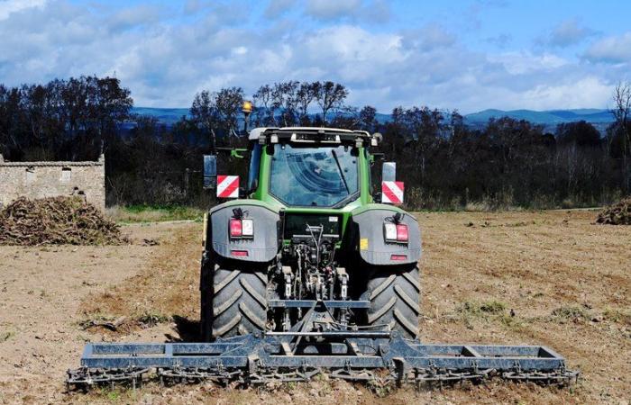 “Uprooting the vines is always heartbreaking”, in Aude nearly 5,000 hectares could disappear