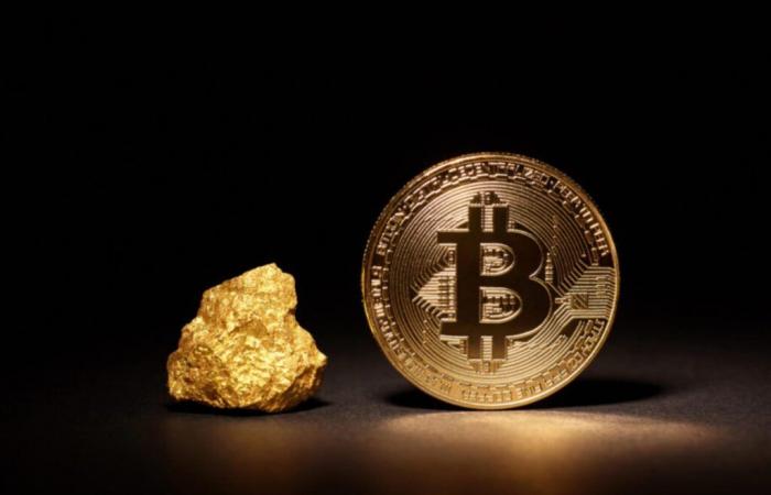 The new gold? Veteran Investor Ross Gerber Spots a ‘Bitcoin Pot’ at the End of the Rainbow