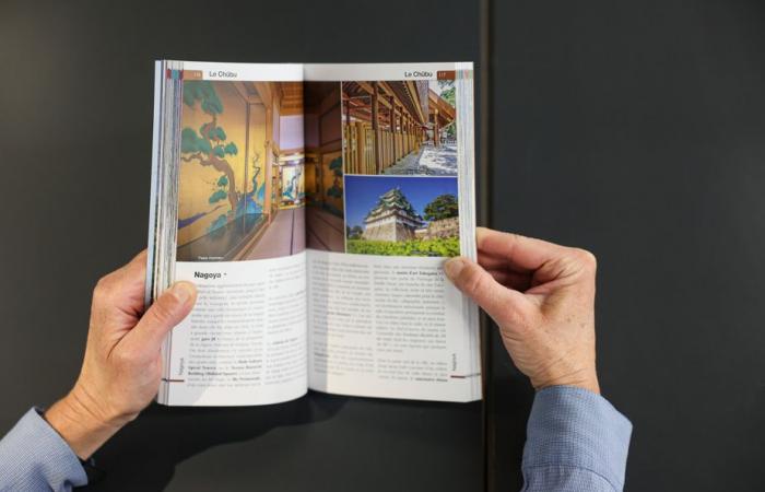 Will paper travel guides disappear?