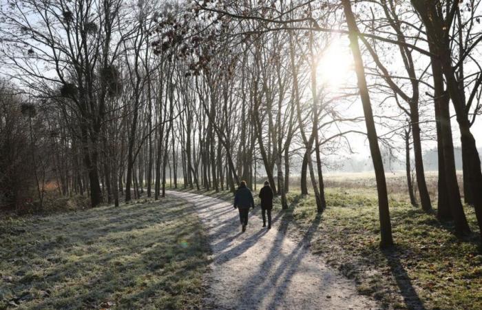 What will the weather be like at Christmas? What the latest forecasts say (): 7 Day Forecast