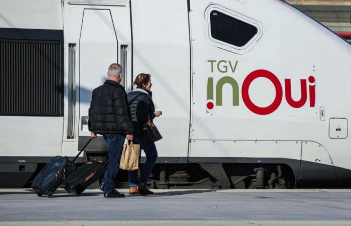 Transportation. Price increases and delays do not prevent the success of the train in France