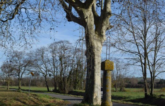 Verniolle. Crosses and trees, two subjects for Friends of the Arts