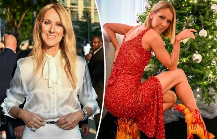 Celine Dion wears flaming phoenix heels in festive holiday post