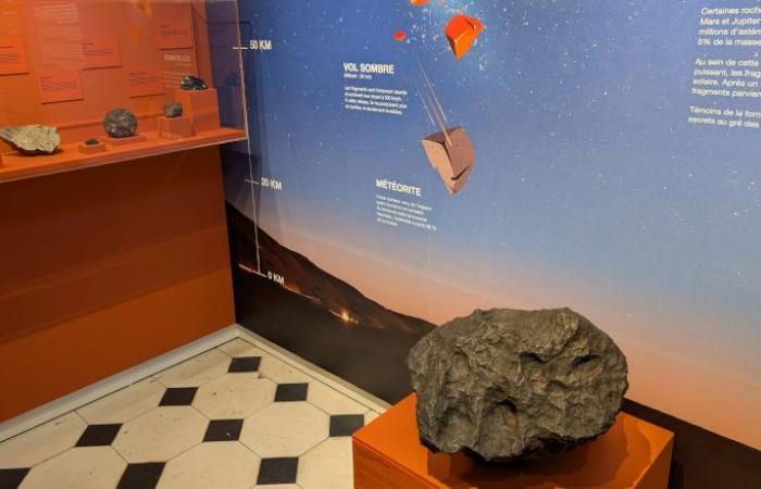 A 105 kilo meteorite on display at the Angers natural sciences museum