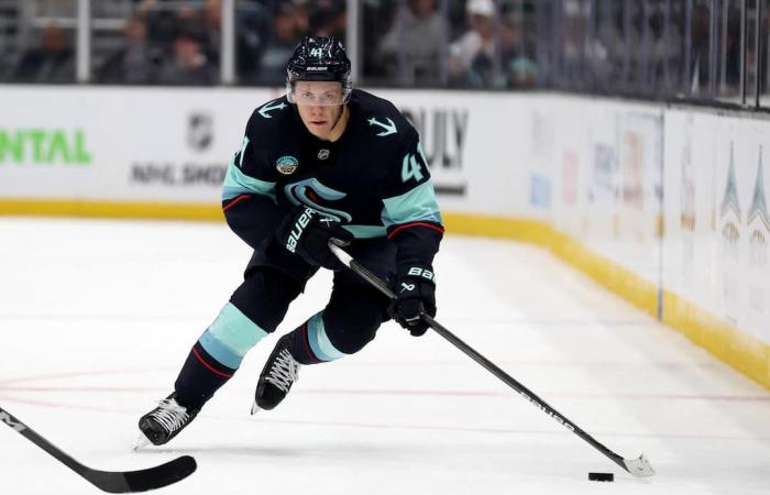 NHL: the eight biggest surprises among defensemen