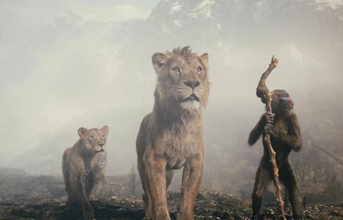 “You feel like you’re beating up your idol”: ‘Mufasa’, the origin story that will change the way you see ‘The Lion King’ – Movie news