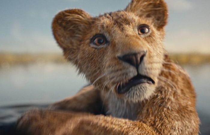 the Lion King” at Disney, just like the beast – Libération