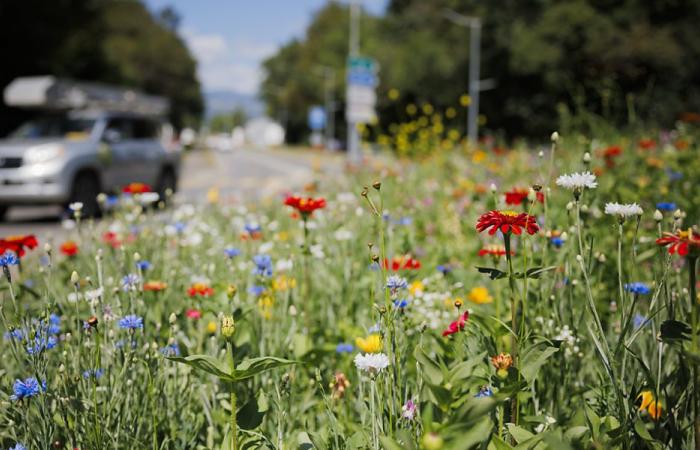 Global Biodiversity Council calls for change