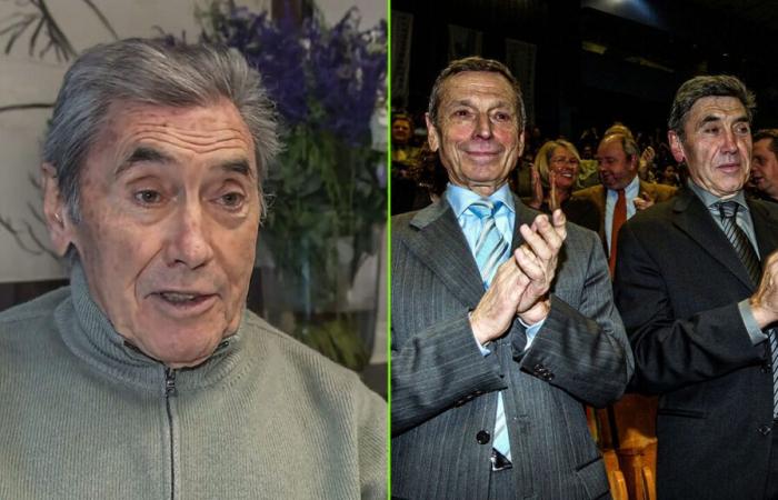 Eddy Merckx says goodbye to his best friend “with pain”: “Made to live to be 100, but things went badly in recent weeks”