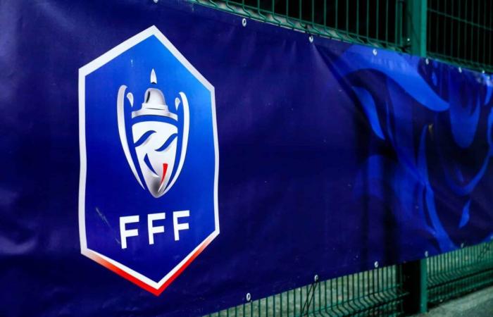 Coupe de France – Auxerre, Sochaux, Cannes… what dynamics are the opponents of the Ligue 2 teams before the 32nd finals?