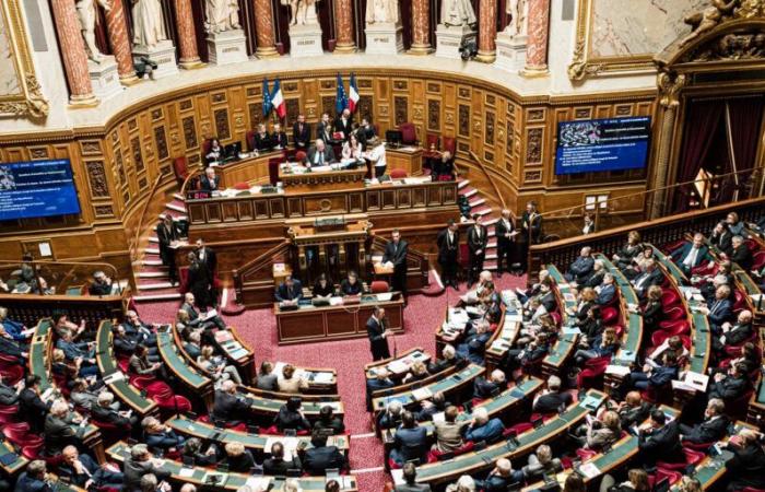 Parliament definitively adopts the special law to compensate for the absence of a budget for 2025