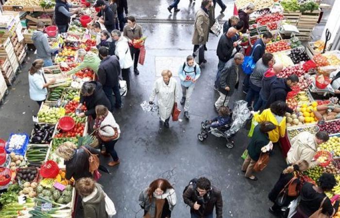 Free white wine tasting at a Bordeaux market