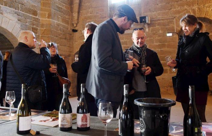 Balanced, deep, rounded… The three “In Vino Fabula” vintages from the City of Carcassonne are causing a sensation