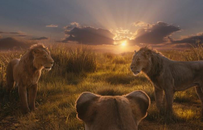 Mufasa: The Lion King – The origin story of a King