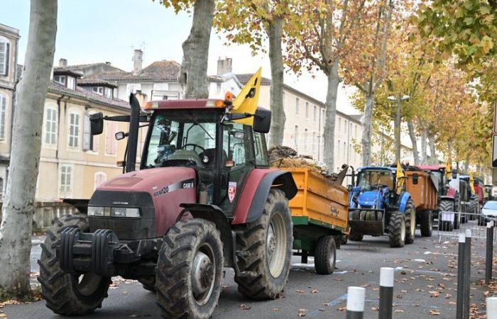 “Put a few stars in people’s eyes”: the Gers Rural Coordination organizes a tractor parade before Christmas