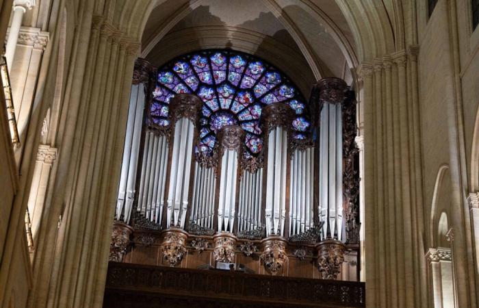 Who is Claire Tabouret, the Frenchwoman chosen to create the new stained glass windows of Notre-Dame de Paris?