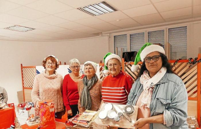 In Lorient, Green Santa Claus from Secours populaire warms hearts in Bois du Château